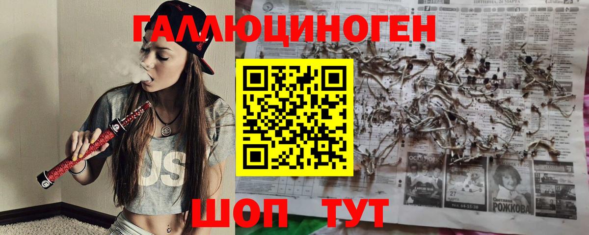 Александров  Галлюциногенные грибы GOLDEN TEACHER  Псилоцибиновые грибы GOLDEN TEACHER  Вход с VPN 